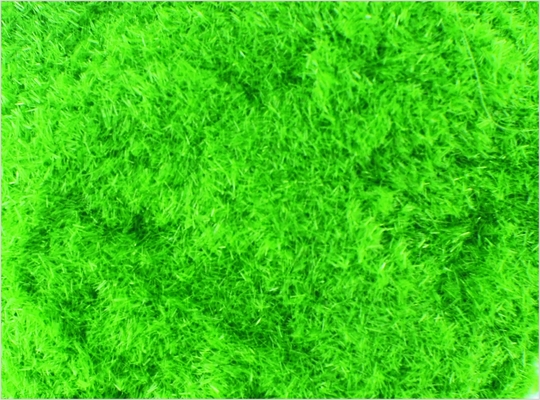 Porcellana # 8 1 mm Custom Model Train Layout materiali Nylon Lt Green Grass polvere fornitore