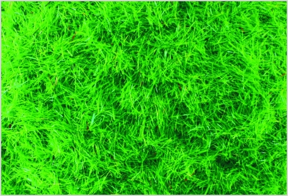 Porcellana A-1 2.5 mm Custom architettonico Model Train Layout forniture Nylon pasto di erba verde-cupo fornitore