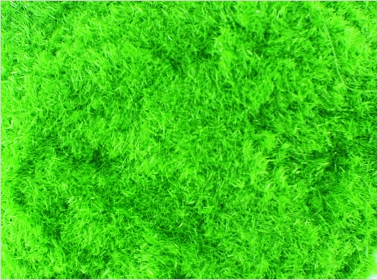 Porcellana 8 # 1 mm architettonico scala Model Train Layout forniture Nylon polvere erba verde-cupo fornitore