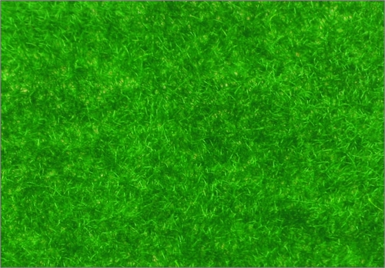 Porcellana R146 1 * 2.5 m scala modello costruzione architettonica materiali Turf viscosa erba fornitore