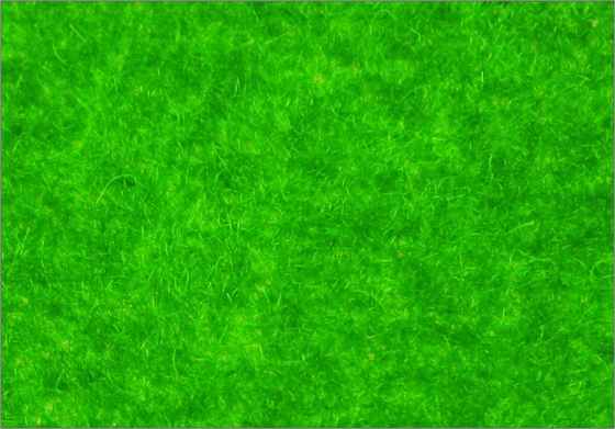 Porcellana R145 1 * 2.5 m scala modello costruzione architettonica materiali Turf viscosa erba fornitore
