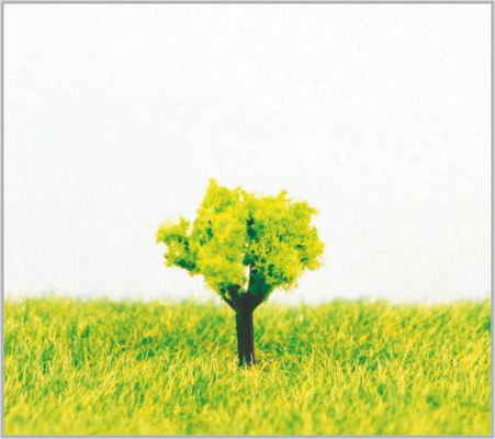 Porcellana alberi di modello miniatura della disposizione verde-cupo di plastica su ordinazione della ferrovia di 1.8cm fornitore