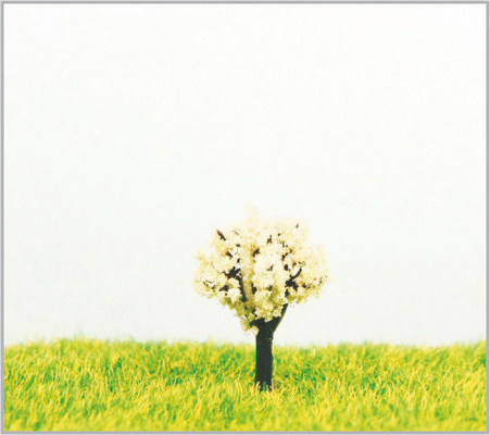 Porcellana alberi di modello miniatura bianchi di plastica su ordinazione fatti a mano di 1.8cm fornitore