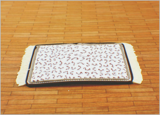 Porcellana DT05 Architettonici scala modello casa arredamento 01:50 / 1:75 / 01:30 tappeto di ceramica fornitore