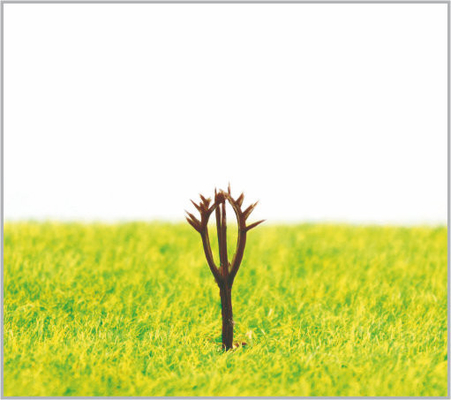 Porcellana A25 HO scala architettonica in miniatura modello alberi in plastica Rods 2.5 cm fornitore